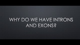 Why do we have introns and exons [upl. by Eob]