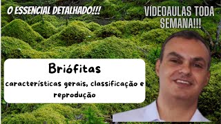 Briófitas caracteres gerais classificação e reprodução O essencial para ENEM e vestibulares [upl. by Eliason]