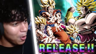 Can I pull the NEW LR SSJ GOHAN amp LSSJ BROLY on Dokkan Battle i went insane [upl. by Learrsi]