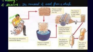 Process of Making Wool From Fibres  Class 7 Chemistry Fibre to Fabric [upl. by Georgia]