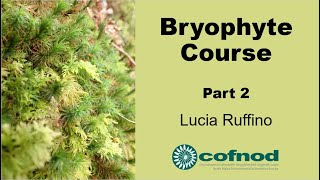 Bryophyte Course Part 2 [upl. by Ianthe]