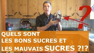 Quels sont les Bons Sucres et les Mauvais SUCRES   Édulcorants  Stevia Miel et Sirop dÉrable [upl. by Ethelda]