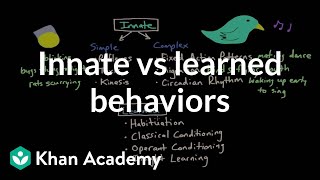 Operant conditioning Innate vs learned behaviors  Behavior  MCAT  Khan Academy [upl. by Ratep]