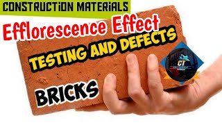 Red Brick में अगर यह सफेद धब्बे दिख जाए तो हो जाएं सावधान 🥶  Efflorescence Effect on Red Brick [upl. by Noivert]