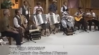 Os Monarcas  Vaneira Grossa 🎶🎵 Programa Galpão Nativo [upl. by Oker]