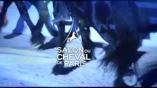 HORSEDANCE  Nuit du Cheval 2014 [upl. by Ailuy]