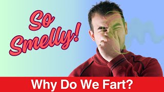 Understanding the Science of Farting Why Do Fart Smell So Bad [upl. by Girovard]