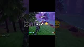 俺じゃなきゃ見逃しちゃうね ･᷄֊･᷅  フォートナイト fortnite フォトナ [upl. by Htnnek131]