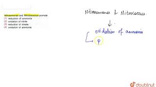 Nitrosomonas and Nitrosococcus promote [upl. by Hollerman]