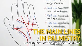 The Lines of Palmistry  LIFE Line HEAD Line HEART Line FATE Line SUN Line LIVER Line Explained [upl. by Aticnemrac191]