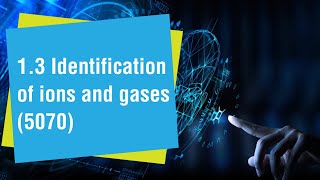 13 Identification of Ions and Gases [upl. by Naillij]