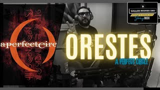 Orestes  A Perfect Circle  DRUM COVER 048 [upl. by Lani]