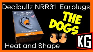 Decibullz Custom Earbuds whats in the box and fitting [upl. by Elyssa552]