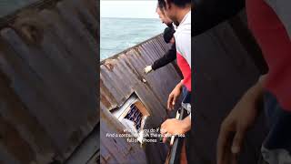 Unbelievable iPhones Found Adrift in the Ocean ytshorts [upl. by Gavrah]