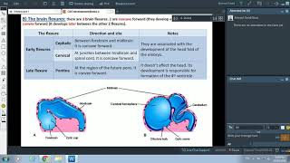 Embryology of Nervous System 2  The Brain  Dr Ahmed Farid [upl. by Barden693]