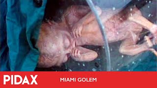 Pidax  Miami Golem 1986 Alberto De Martino [upl. by Eillime]