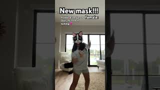 She’s so cute ☺️ newmask frenchbulldog cute furry therian christian doglover antizoo [upl. by Mickey822]