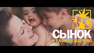 Красное Дерево  Сынок Unofficial clip 2020 [upl. by Wavell]