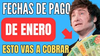 🍀 Cuando y Cuanto COBRO ANSES ENERO 📣 Jubilados Pensionados AUH PNC SUAF ✚ Fechas de Pago [upl. by Gelasius369]