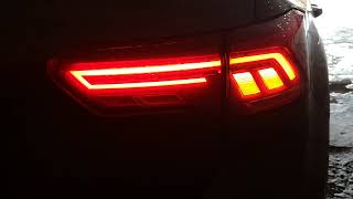 VW TRoc obdeleven Rear Lights Animation [upl. by Letha858]