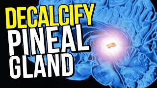 5 Ways To DECALCIFY Your Pineal Gland How To Open Your Third Eye Quickly [upl. by Bencion]