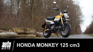 Honda Monkey 125 cm3 ESSAI POV AUTOMOTOCOM [upl. by Atires]