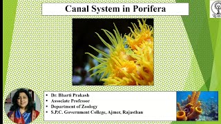 Canal System in Sponges by Dr Bharti Prakash [upl. by Eecyal]