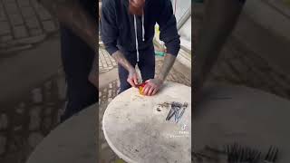 Stinkefisch surströmming ist garnicht so schlimm 🙈😂 [upl. by Bortman598]