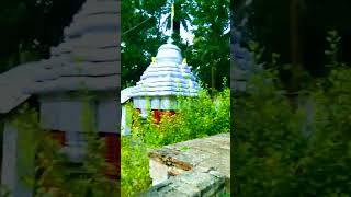 Dharma kanduchi maa 🙏 short Duruj vairal video YouTube trading [upl. by Ligriv]