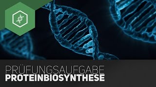 Typische Prüfungsaufgabe – Proteinbiosynthese Teil 5 [upl. by Carman]