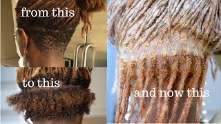 Reattaching Locs With A Crochet Needle [upl. by Cristobal]