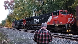 FALL TRAINS CN Joliette Sub Freight at Pointe Aux Trembles Regional Park [upl. by Nylyaj]