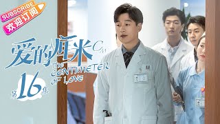 《爱的厘米The Centimeter of Love》第16集｜佟丽娅 佟大为 檀健次 郑合惠子 左小青 涂松岩 许娣 韩童生 EP16【捷成华视偶像剧场】 [upl. by Bindman669]