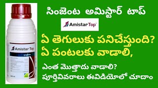 amistar top syngenta fungicide full details in telugu  BB agriculture telugu [upl. by Whitcher]