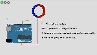 05AdafruitNeoPixelh Kütüphanesi  For Döngüsü Uygulaması [upl. by Luis517]