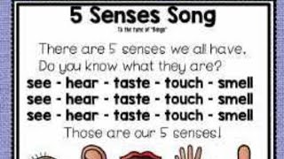 5 sense organs with song sing by kindergarten class [upl. by Romeon755]