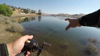 Millerton Lake Bluegill Carp and Catfish fishing [upl. by Ikceb]