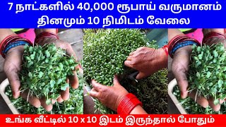 7 நாட்களில் 40000 ரூபாய் வருமானம் தினமும் 10 நிமிடம் வேலை ​ Small Business Ideas  Tamil [upl. by Hoffer260]