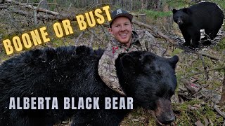 MASSIVE BLACK BEAR  Alberta Archery Bear Hunt [upl. by Rehpotsirhcnhoj]