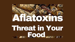 Aflatoxins The Invisible Threat in Your Food [upl. by Elleahcim]