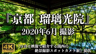 4K 2020年6月撮影 京都  瑠璃光院 美しい新緑の景色  Japan Kyoto Rurikoin temple summer [upl. by Nolasba927]