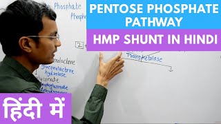 Pentose Phosphate Pathway  Hexose Monophosphate Shunt  Steps and Process [upl. by Aihsile]