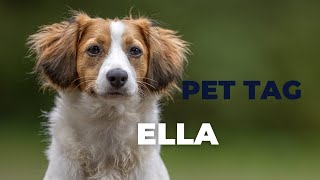 PET TAG Ella  Aké športy robíme Aký trik má najradšej [upl. by Chet346]