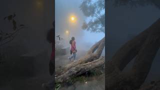 Coakers walk ❤️ nature aesthetic familyvlog kodaikanaltravel best foggy [upl. by Nicolle]