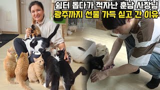 보호소 고양이 강아지 때문에 미용실 건물 팔고 2억 넘게 쓴 150마리 엄마의 순정 [upl. by Yardley900]