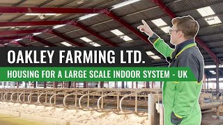 Housing for a Large Scale Indoor System in the UK  Oakley Farming Ltd [upl. by Adiol]