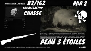 Tout Les Animaux 82162 Le Rat Musqué DAmérique Localisation Red Dead Redemption 2 [upl. by Hercules]