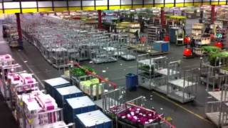 The Largest Flower Market in the World Aalsmeer Holland [upl. by Brant]