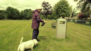 Bag It Bin It  Bin your dog foul in Stirling  Keep your area clean [upl. by Aranat]