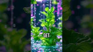 Discover the quirky truth about hydroponics Hydroponics PlantScience FunFact [upl. by Mosby]